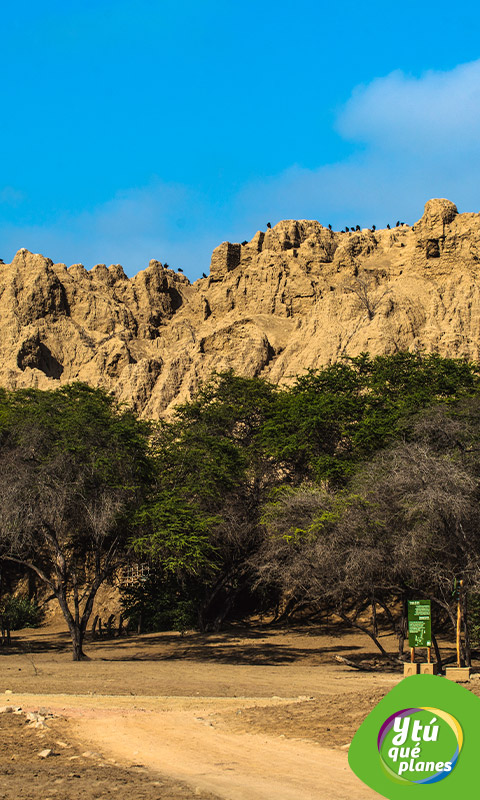 Huaca el Oro. Santuario Histórico Bosque de Pomac